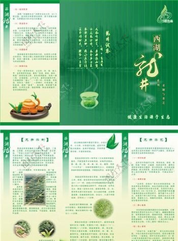 龙井茶广告三折页矢量模板