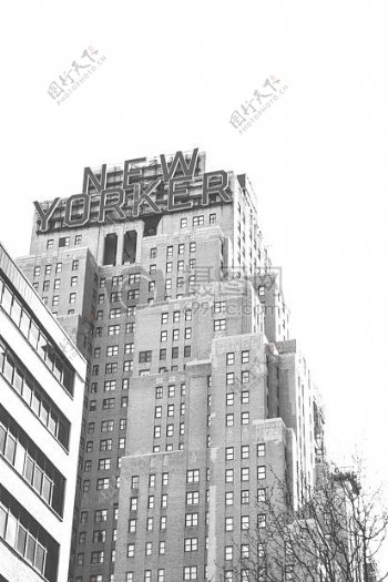 黑与白城市建筑新约克建筑高层高层建筑新的纽约客纽约市纽约州