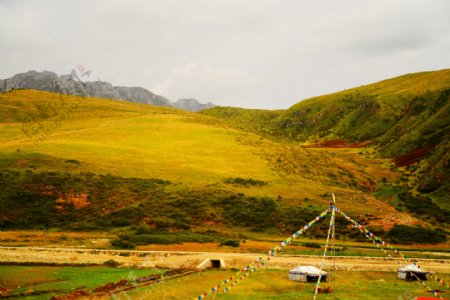 甘肃甘南桑科草原风景