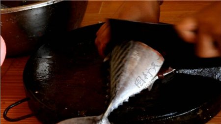 海鱼美食视频素材