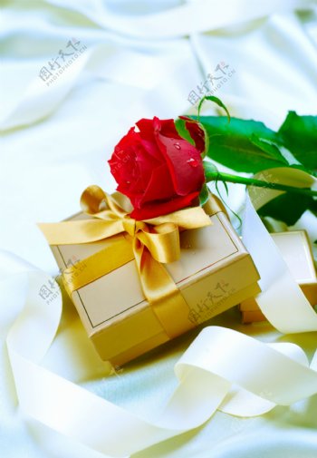 唯美玫瑰花与礼品盒图片