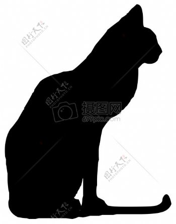 黑色猫的背景剪纸