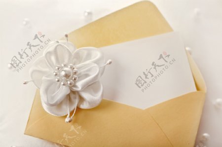 信封与珍珠花图片素材