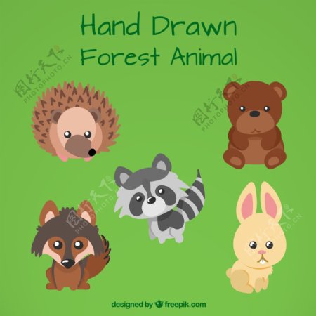 5款可爱森林小动物矢量素材
