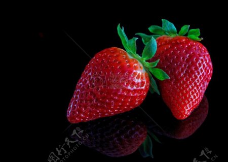 鲜嫩草莓