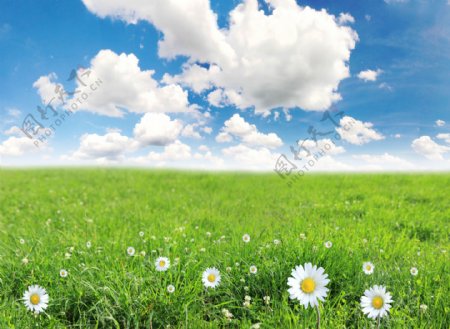蓝天白云与草原图片