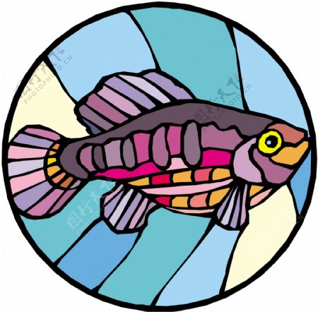 五彩小鱼水生动物矢量素材EPS格式0525