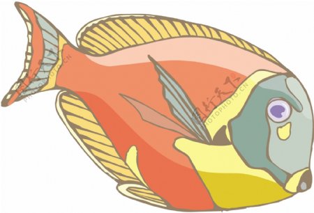 五彩小鱼水生动物矢量素材EPS格式0668