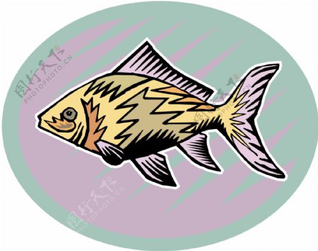 五彩小鱼水生动物矢量素材EPS格式0691