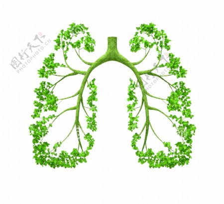 绿色环保树叶树肺装饰图案创意设计元素素材
