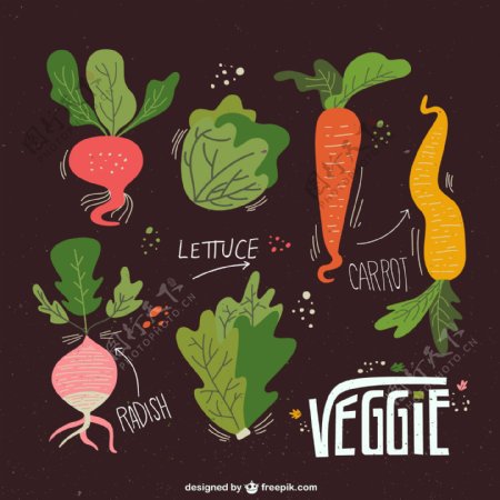 7蔬菜设计