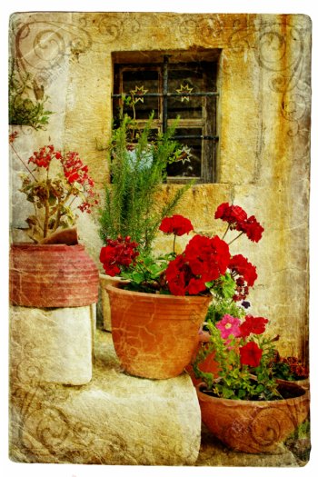 古老房屋门前的花盆图片