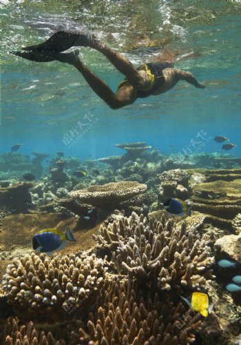 美丽海底礁岩高清大图图片