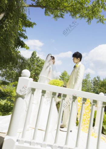 西式婚礼照片模板图片