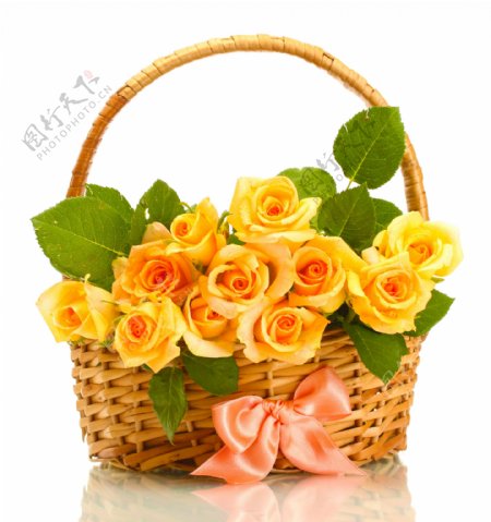 篮子里黄色玫瑰花图片