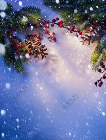 圣诞节雪花冬青背景图片