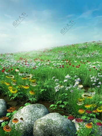鲜花草地风景