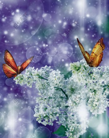 梦幻鲜花与蝴蝶