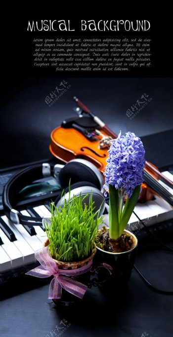 钢琴与绿色植物图片