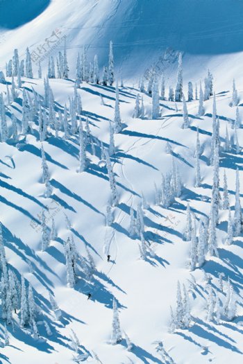 滑雪的运动员摄影高清图片