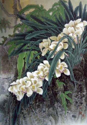 花卉植物装饰画图片