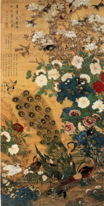 油画孔雀花卉图片