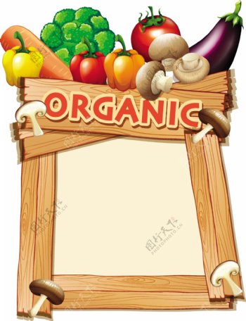 混合蔬菜插图框架模板