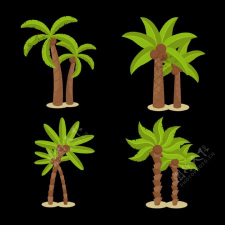 棕榈树椰子树免抠透明图层png素材