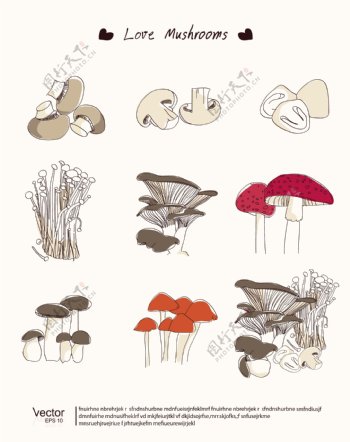 手绘蘑菇设计