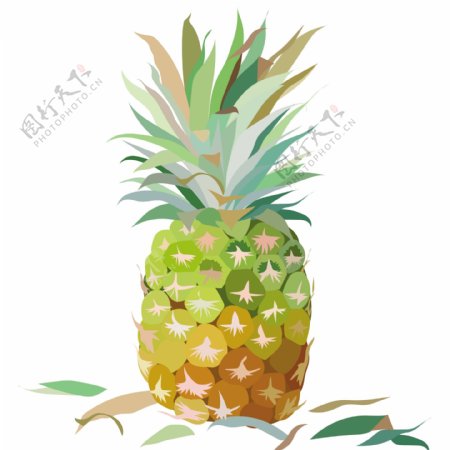 水彩菠萝插图背景