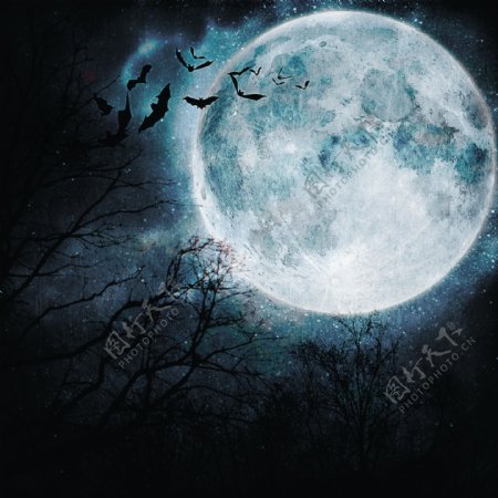 万圣节夜晚月亮