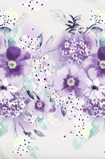 紫藤花手绘花