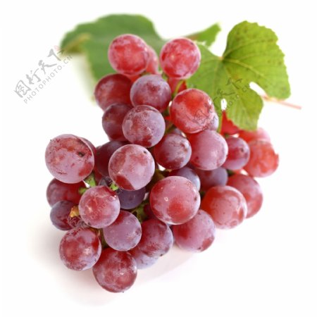 红葡萄背景图片