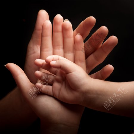 父母手心里的婴儿手图片