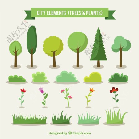 城市树木和植物