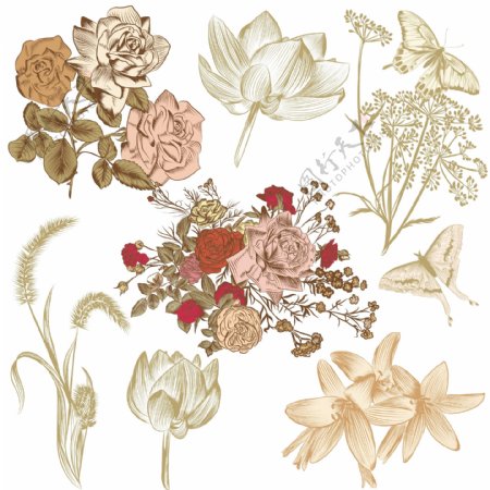 手绘古典花卉的收藏