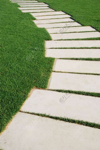 蛇形通道的石头在公园的草坪概念