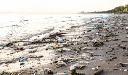 海边环境污染严重图片