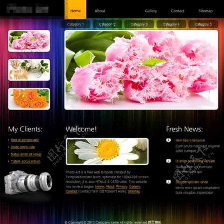 鲜花摄影Html5网站模板