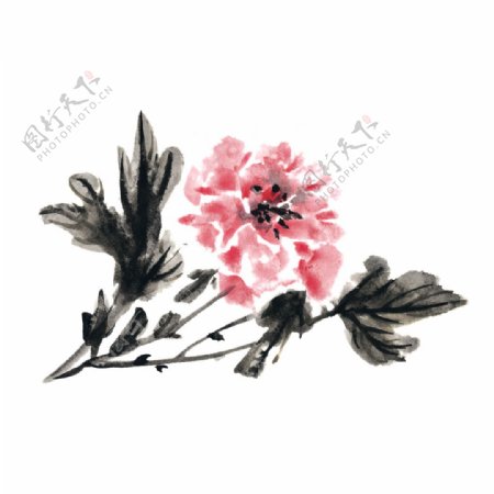 水墨画花朵素材中国风