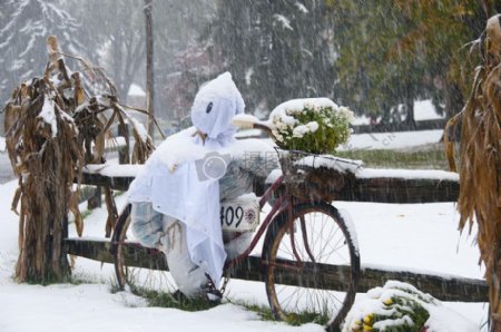 雪地上的自行车