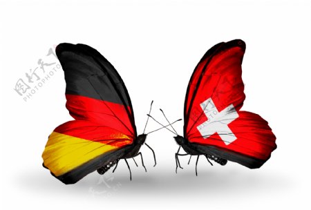 瑞士蝴蝶国旗图片