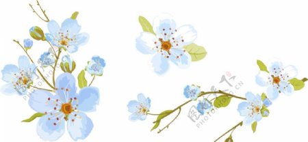 蓝色唯美花朵