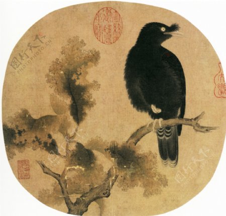 枯树鸥鹆图镜片中国古画0032