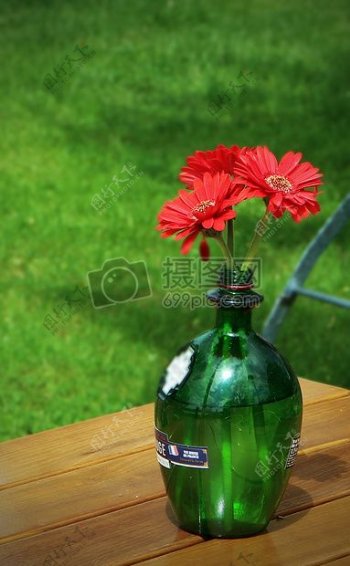 玻璃瓶里的菊花