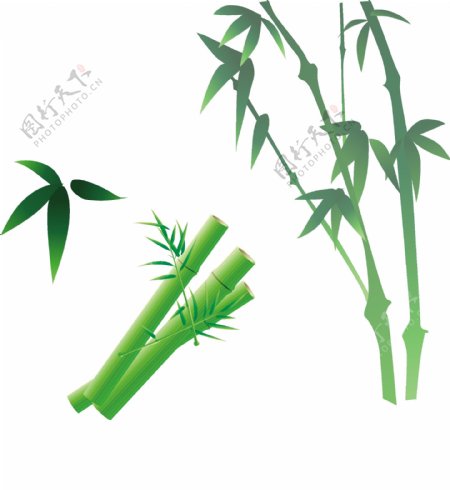 翠绿色竹子竹叶