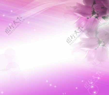 紫色婚纱梦幻模板