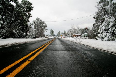 公路两边的雪景图片