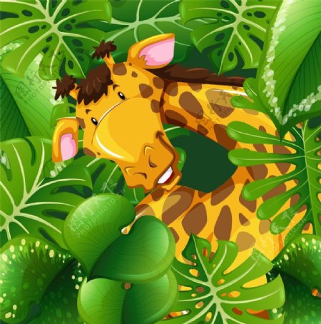 丛林中的卡通长颈鹿图片