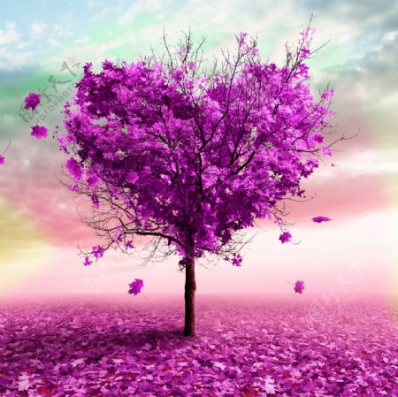 紫色树木装饰背景墙